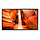 Samsung 55" Window Signage OMN-S