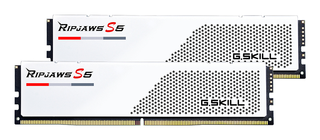 G.Skill G.Skill F5-6000J3036F24GX2-RS5W geheugenmodule 48 GB 2 x 24 GB DDR5 5600 MT/s