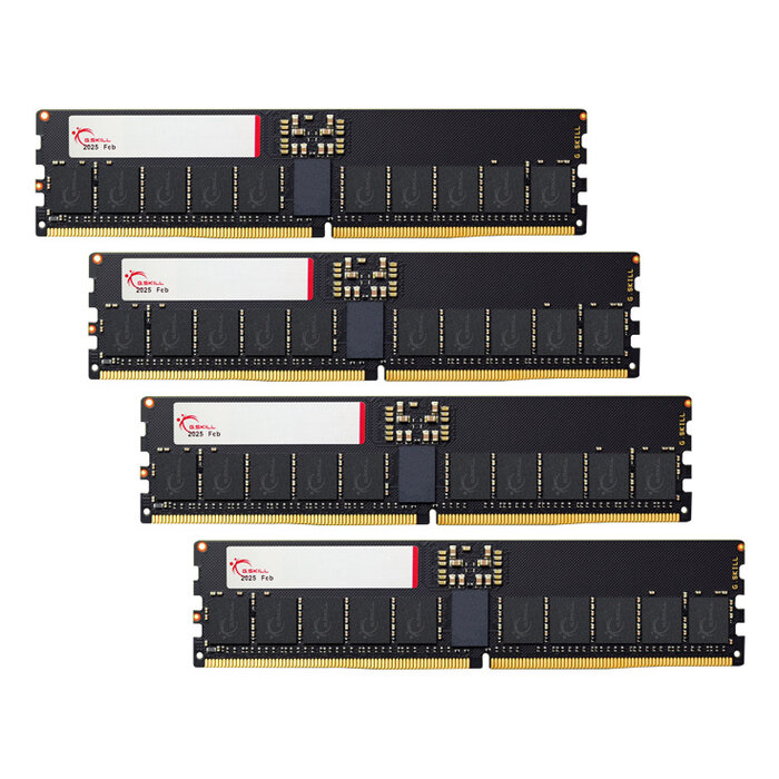 G.Skill G.Skill T5 Neo F5-6400R3644E64GQ4-T5N geheugenmodule 256 GB 4 x 64 GB DDR5 6400 MT/s 288-pin DIMM ECC
