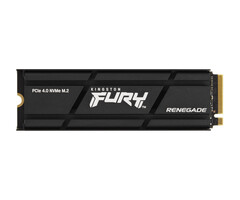 Kingston Kingston Technology 1000G RENEGADE PCIe 4.0 NVMe SSD MET HEATSINK
