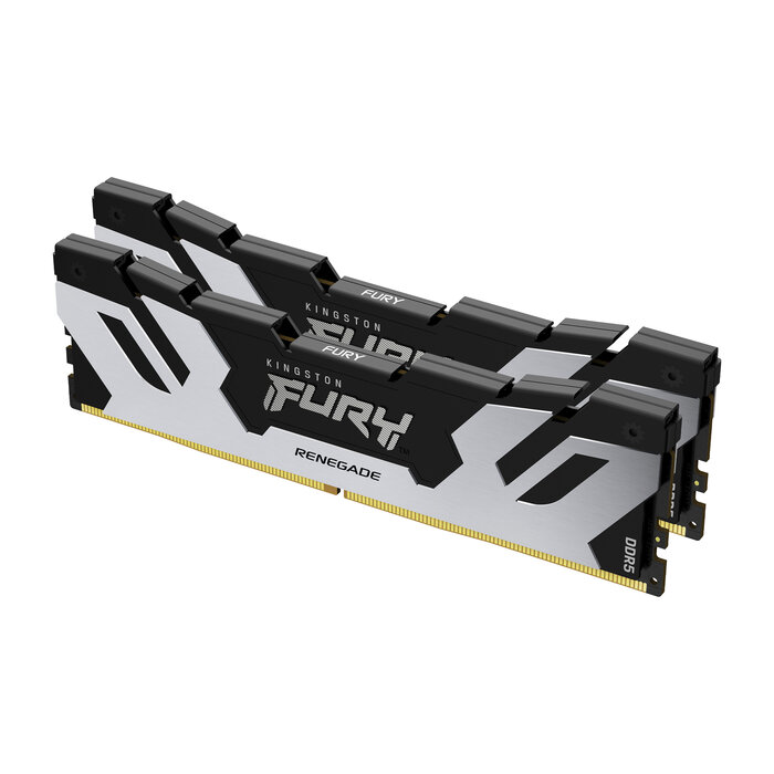 Kingston Kingston Technology FURY 64GB 6400MT/s DDR5 CL32 DIMM (set van 2) Renegade Zilver XMP