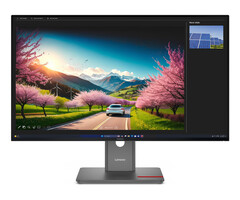 Lenovo Lenovo ThinkVision P32UD-40 Monitor