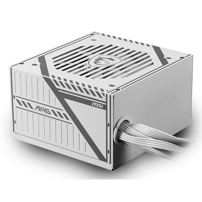 MSI MSI MAG A650BNL power supply unit 650 W 24-pin ATX ATX Wit