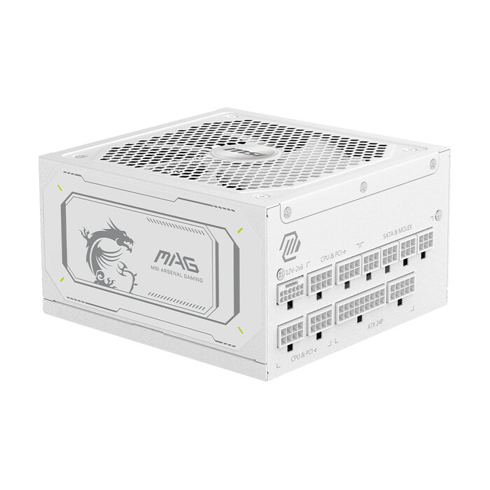 MSI MSI MAG A1000GL PCIE5 WHITE power supply unit 1000 W 24-pin ATX ATX Wit
