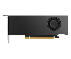 Nvidia Nvidia RTX 2000 Ada 16 GB GDDR6