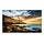 Samsung 75" Crystal UHD Signage QET