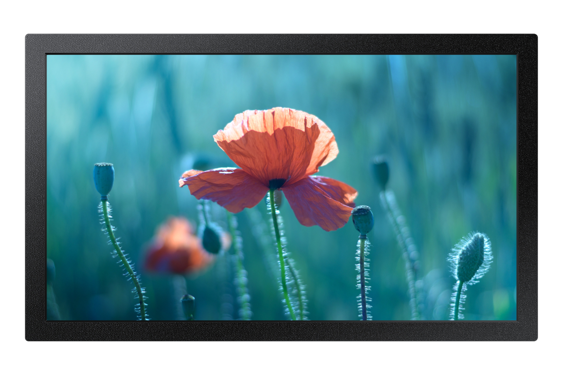 Samsung Samsung 13" Full HD Small Display QB13C