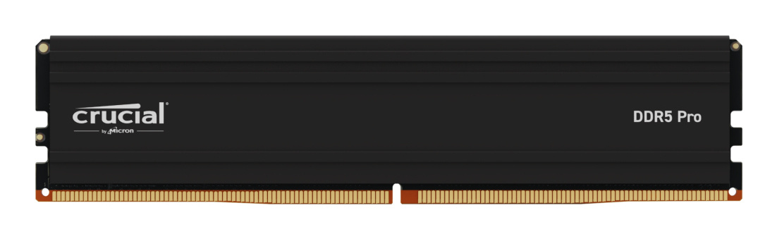 Crucial Crucial Pro CP24G56C46U5 geheugenmodule 24 GB 1 x 24 GB DDR5 288-pin DIMM