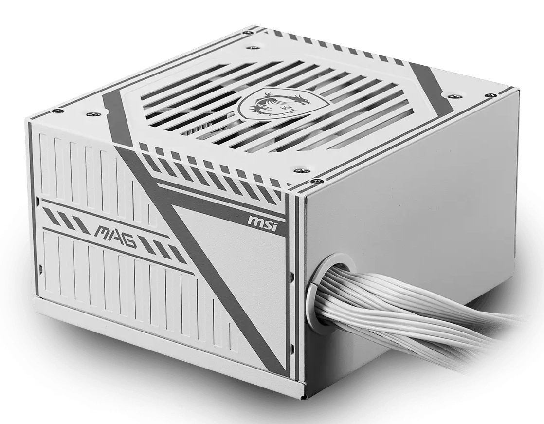 MSI MSI MAG A650BNL power supply unit 650 W 24-pin ATX ATX Wit