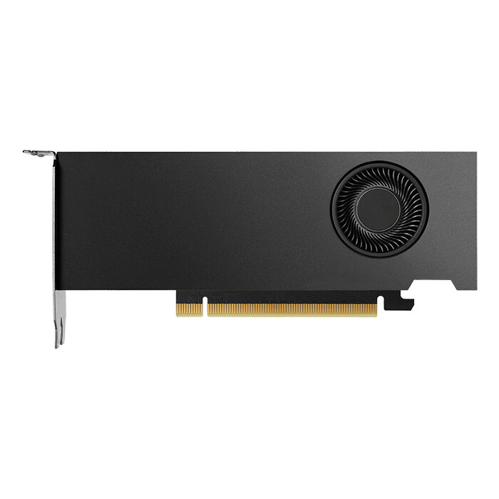 Nvidia Nvidia RTX 2000 Ada 16 GB GDDR6