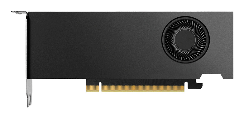 Nvidia Nvidia RTX 2000 Ada 16 GB GDDR6