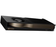 Nvidia Nvidia RTX PRO 4500 Blackwell 32 GB GDDR7