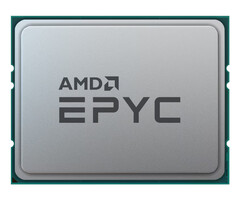 AMD AMD EPYC 4465P processor 3,4 GHz 64 MB L3 Tray