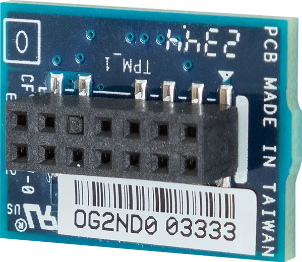 Gigabyte GIGABYTE CTM010 SPI 2.0