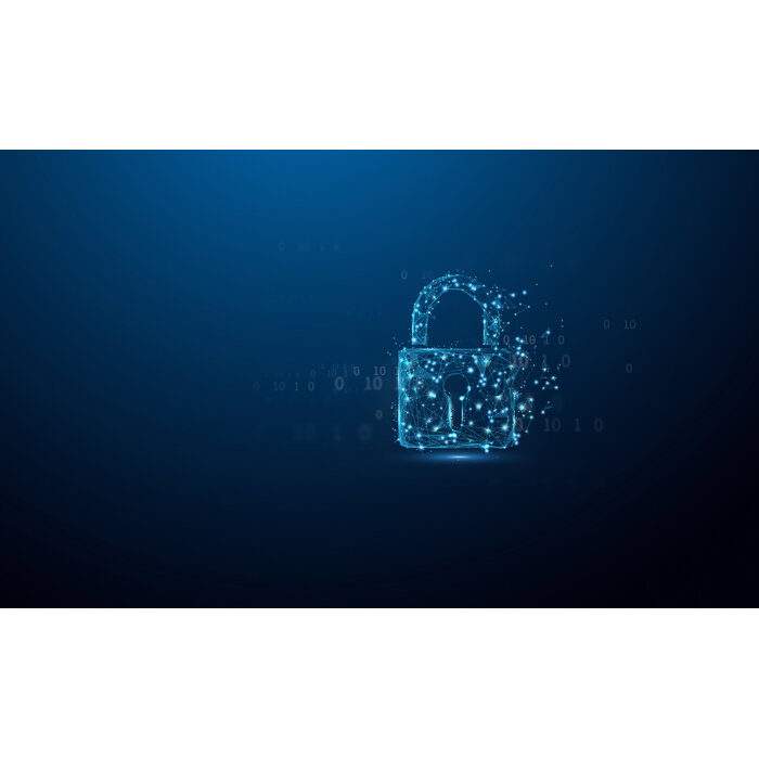 Kingston Kingston Technology IronKey 64GB Locker Plus 50 G2, FIPS 197, AES-256
