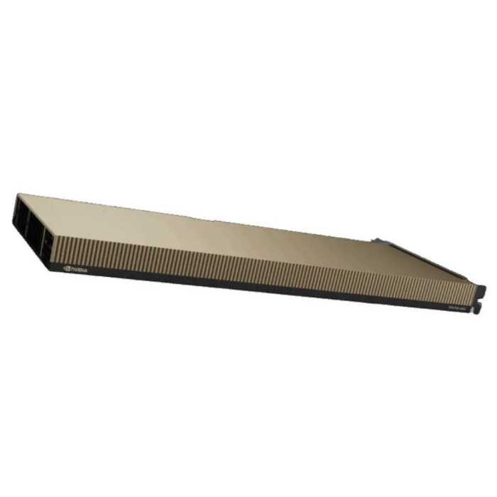PNY Technologies PNY NVIDIA RTX PRO 4500 Blackwell Server Edition 32 GB GDDR7