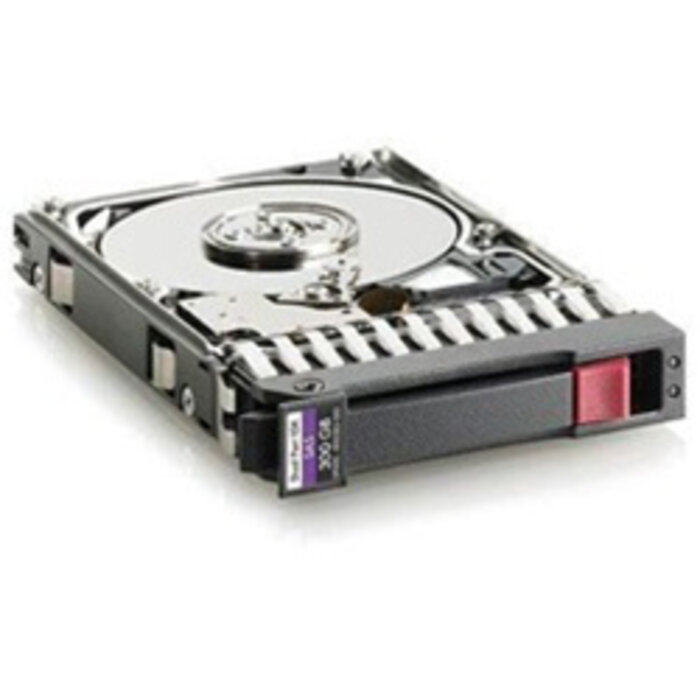 HP Enterprise HPE 300GB 6G SAS SFF interne harde schijf 10000 RPM 2.5"