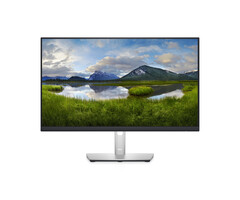 Dell DELL P Series 24 USB-C-hubmonitor: P2422HE