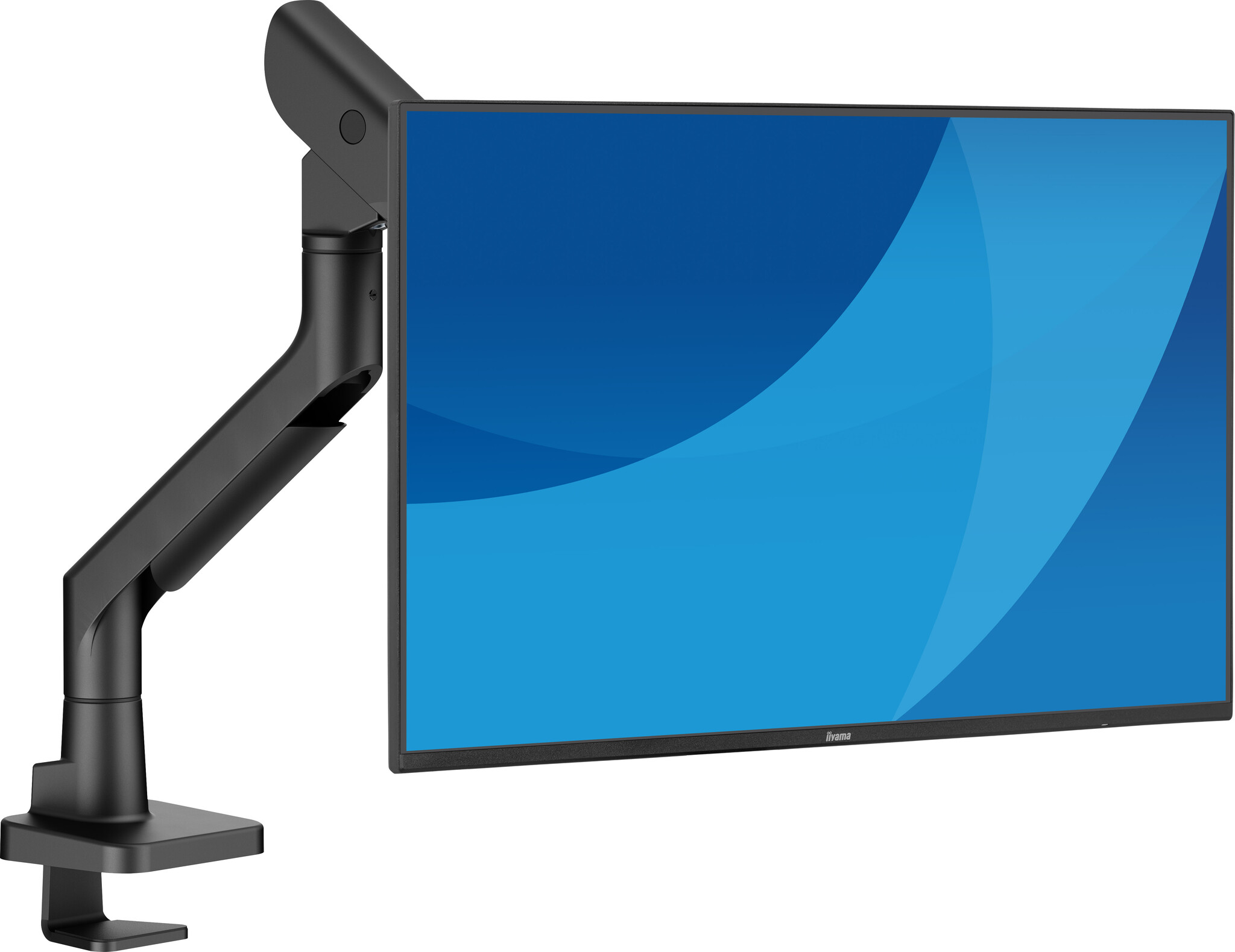 iiyama iiyama DS6001C-B1 flat panel bureau steun 124,5 cm (49") Zwart