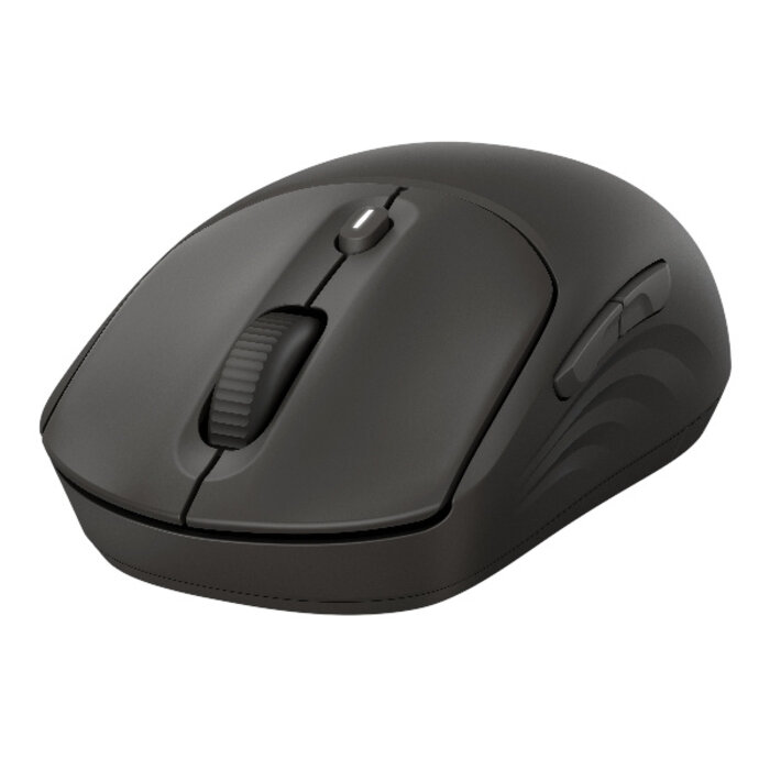 Hewlett & Packard INC. HP 405 Quiet Wireless Mouse