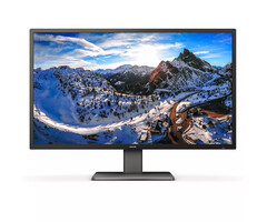 Philips Philips P Line 439P1/00 computer monitor 108 cm (42.5") 3840 x 2160 Pixels 4K Ultra HD LCD Zwart