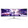 Philips Evnia 8000 49M2C8900/00 computer monitor 124,2 cm (48.9") 5120 x 1440 Pixels Dual QHD QD-OLED Wit