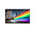 Philips 65BFL2214/12 beeldkrant 165,1 cm (65") LED Wifi 350 cd/m² 4K Ultra HD Zwart Android TV