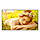 LG 65UL5Q-E beeldkrant Digitale signage flatscreen 165,1 cm (65") LED Wifi 500 cd/m² 4K Ultra HD Zwart WebOS 24/7