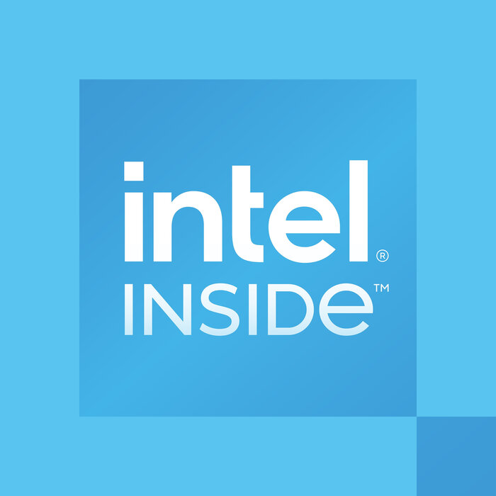 Intel Intel 300 processor 6 MB Smart Cache Tray