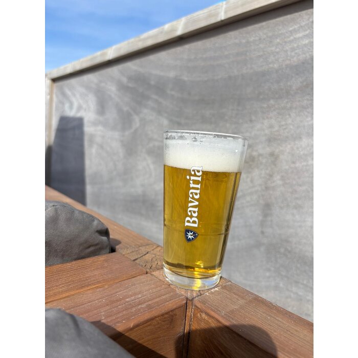 Bierglazen met logo | Vaasje stapelbaar | 25cl. tapmaat