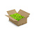 Rentiermoos-Box [XL] Apricis