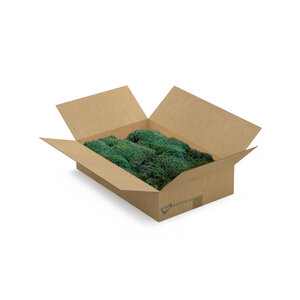 Flachmoos Box L dunkel 0,45 m²