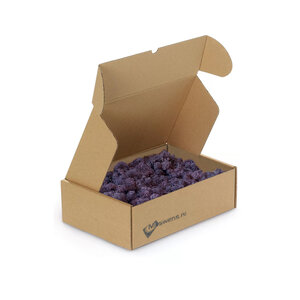 Rentiermoos Box M Casia 0,10 m²