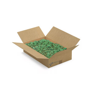 Rentiermoos-Box [L] Dimidium