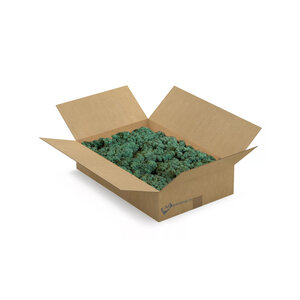 Rentiermoos-Box [L] Forest