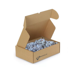 Rentiermoos Box M Lavendula 0,10 m²