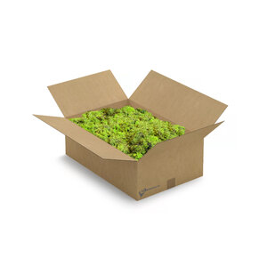 ECO-Moos box  XL Apricis 0,70 m² | Der billigste