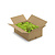 ECO-Moos Apricis | XL-Box | Der billigste