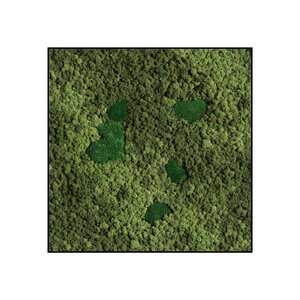 Quadratisches Moosbild Avina