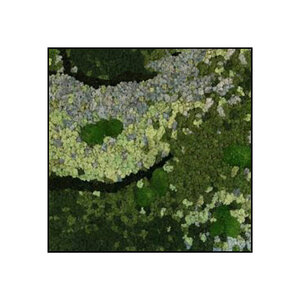 Quadratisches Moosbild Caeruleum