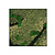 Moswens Quadratisches Moosbild Contraria