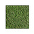 Moswens Quadratisches Moosbild Dimidium