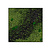 Moswens Quadratisches Moosbild Nova