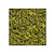 Moswens Quadratisches Moosbild ECO Apricis