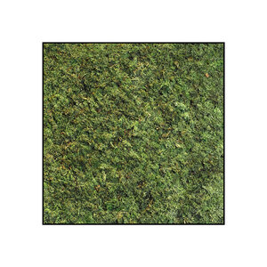 Quadratisches Moosbild ECO Dimidium