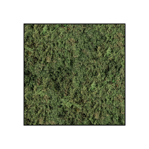 Quadratisches Moosbild ECO Forest