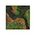 Moswens Quadratisches Moosbild Terra