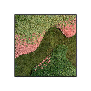 Quadratisches Moosbild Caramello