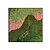 Moswens Quadratisches Moosbild Caramello