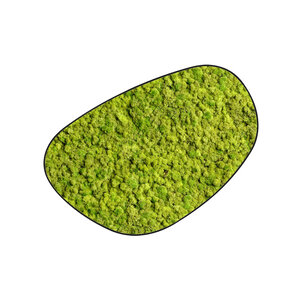 Moosdots Cuatro Moosbild Apricis